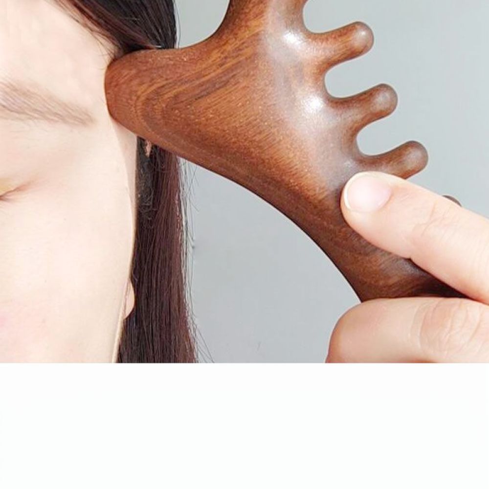 Health Wellness And Spa - Sisir Pijat Kulit Kepala Portabel, Alat