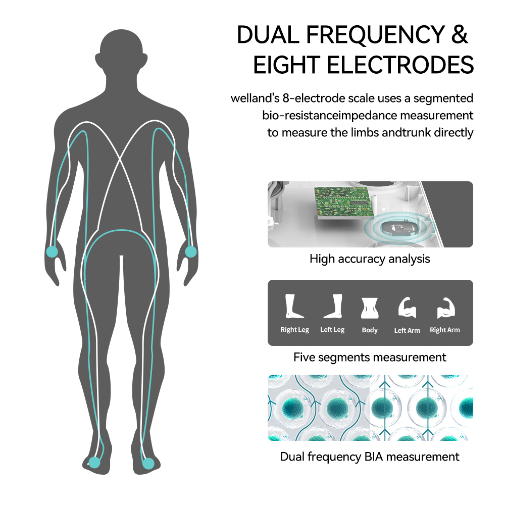 Smart 8 Elektroda Skala Berat  - Digital Body Weight Scale ulasan dan harga