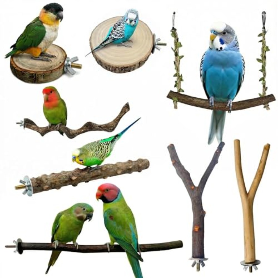 8PCS tempat bertengger burung  - Health & Wellness Expo ulasan dan harga